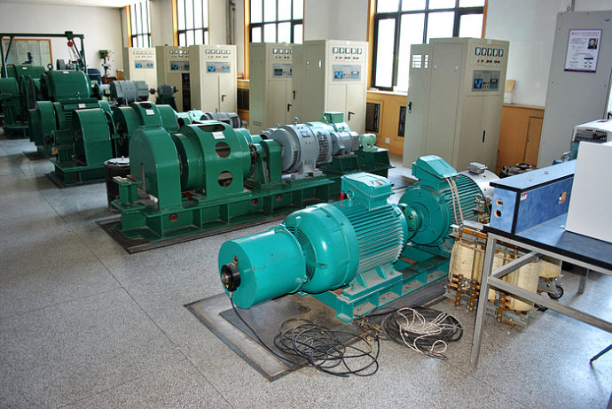 Y8006-16某热电厂使用我厂的YKK高压电机提供动力