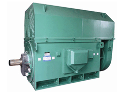 Y8006-16YKK系列高压电机